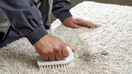 Professional Rug Cleaning Albert Park