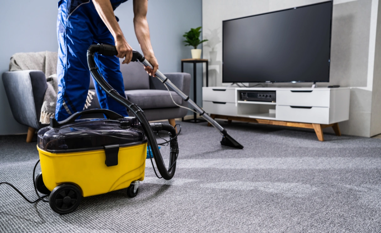 Extract Rug Cleaning Albert Park Contact Office